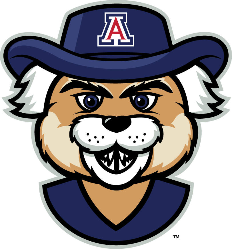 Arizona Wildcats 2013-Pres Mascot Logo v5 iron on transfers for clothing